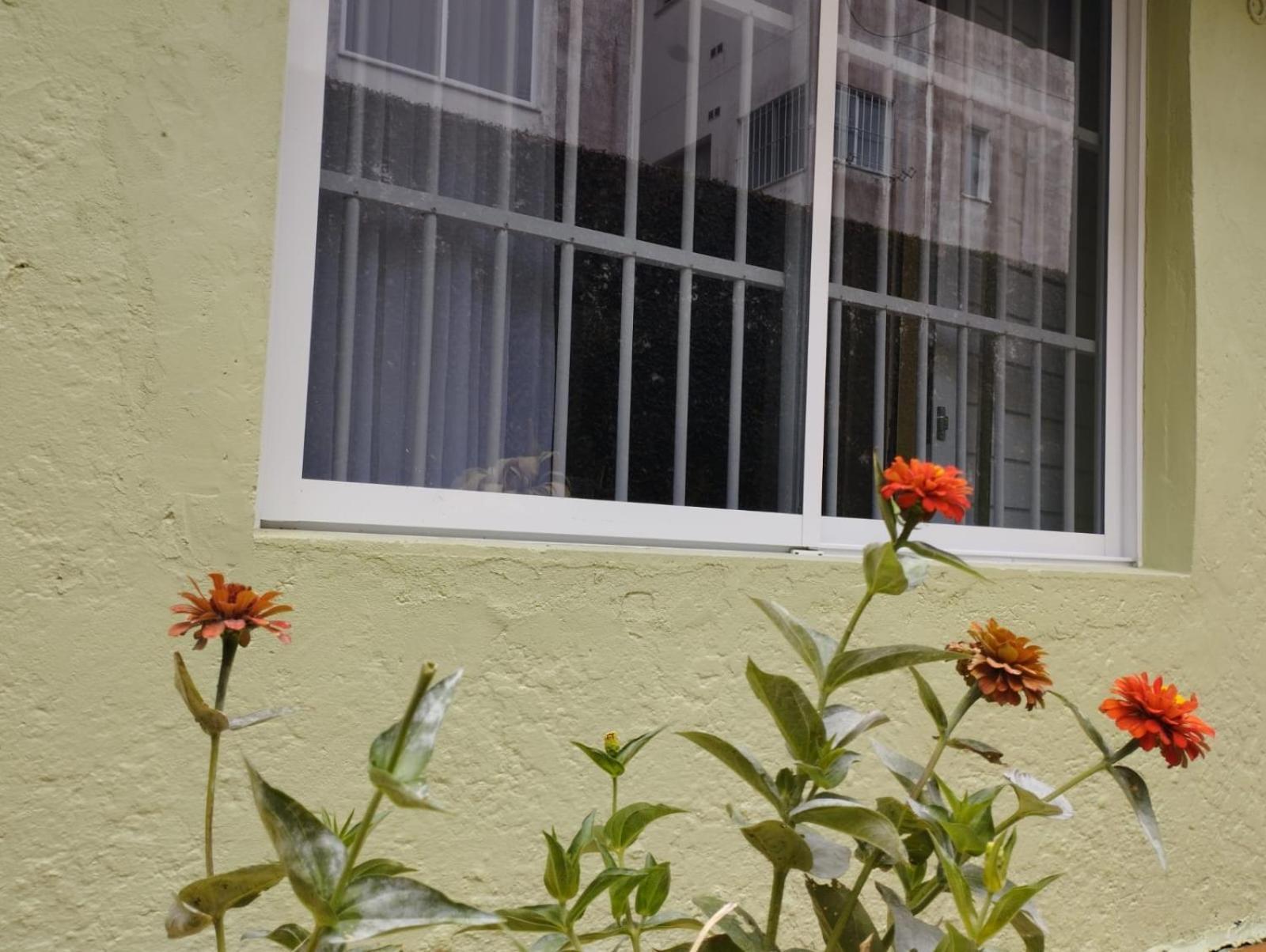 Charmoso Apto Com Clima De Casa Em Canasvieiras Florianópolis Buitenkant foto